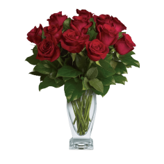 Classic Roses