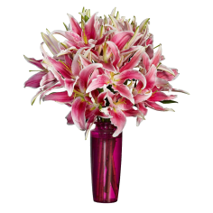 Stargazer Lily  Bouquet