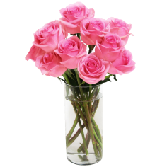 Bouquet of Long Stemmed Roses Pink